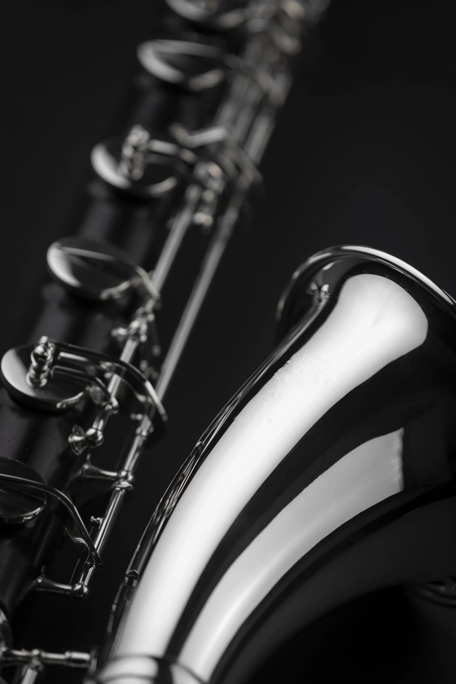 Bass Clarinet